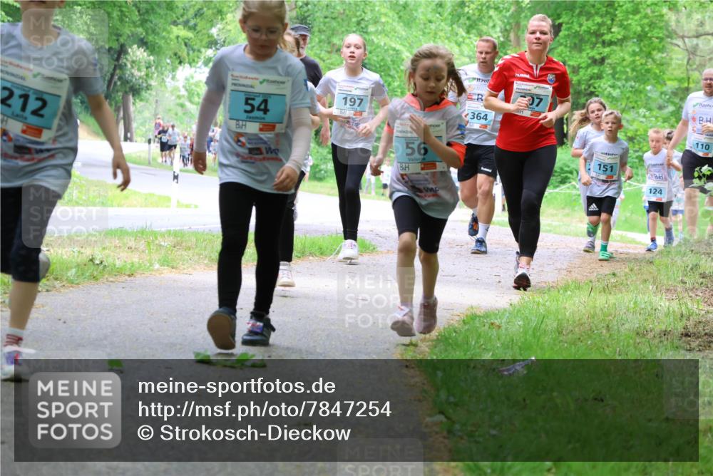 17.05.2025 - Störlauf Strokosch-Dieckow http://msf.ph/oto/7847254 17.05.2025 13:41:07 Laufen 212, 54, 197, 56, 364, 151, 124, 110 meine-sportfotos.de