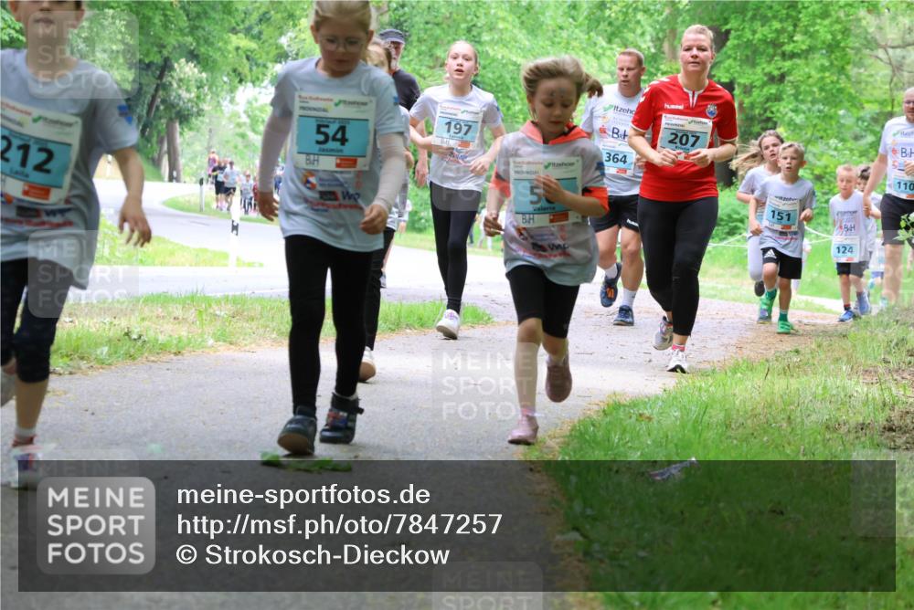 17.05.2025 - Störlauf Strokosch-Dieckow http://msf.ph/oto/7847257 17.05.2025 13:41:07 Laufen 212, 54, 197, 5, 364, 207, 151, 124, 110 meine-sportfotos.de