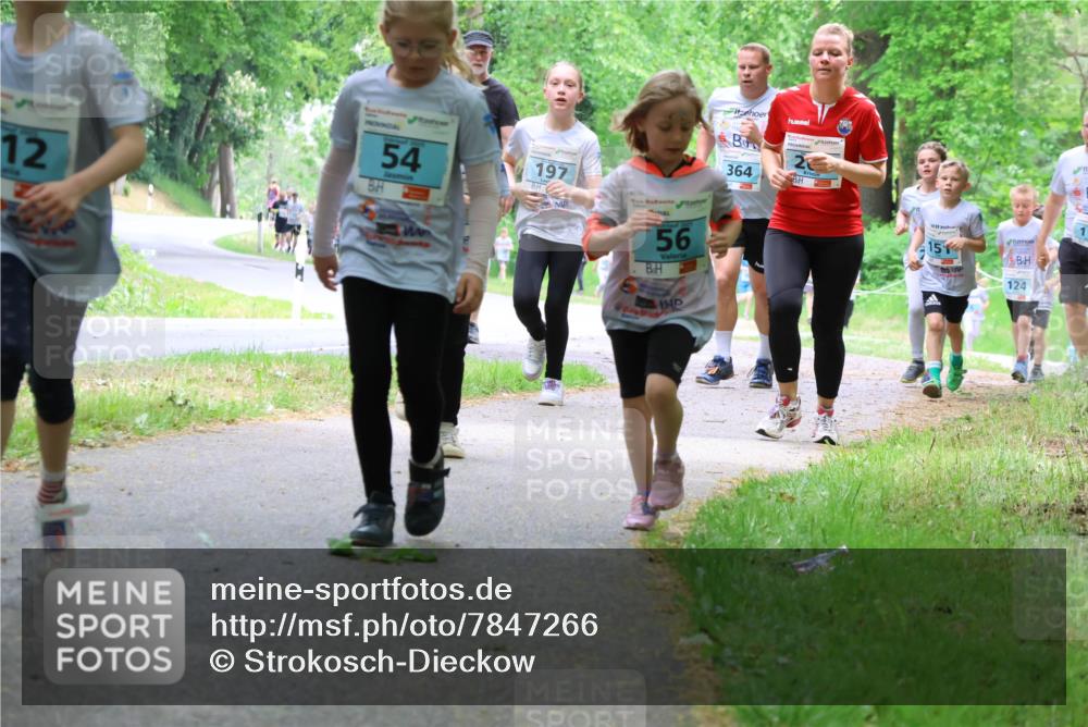 17.05.2025 - Störlauf Strokosch-Dieckow http://msf.ph/oto/7847266 17.05.2025 13:41:07 Laufen 12, 54, 197, 56, 364, 124, 50 meine-sportfotos.de