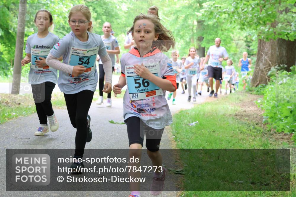 17.05.2025 - Störlauf Strokosch-Dieckow http://msf.ph/oto/7847273 17.05.2025 13:41:10 Laufen 2025, 54, 56, 5, 2 meine-sportfotos.de