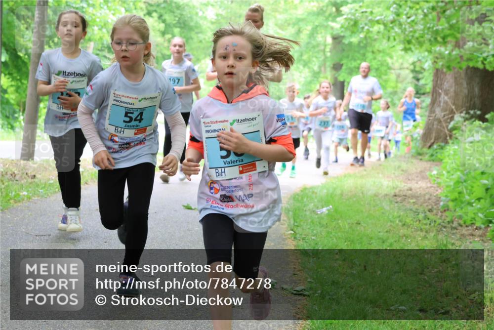 17.05.2025 - Störlauf Strokosch-Dieckow http://msf.ph/oto/7847278 17.05.2025 13:41:10 Laufen 2025, 54, 197, 237, 2 meine-sportfotos.de