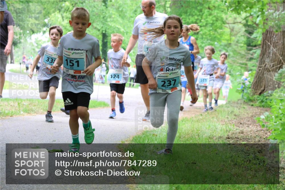 17.05.2025 - Störlauf Strokosch-Dieckow http://msf.ph/oto/7847289 17.05.2025 13:41:12 Laufen 33, 229, 2025, 151, 124, 237, 343 meine-sportfotos.de