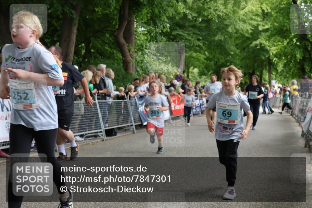 17.05.2025 - Störlauf Strokosch-Dieckow http://msf.ph/oto/7847301 17.05.2025 13:46:00 Ziel 2025, 252, 265, 2025, 69, 275 meine-sportfotos.de