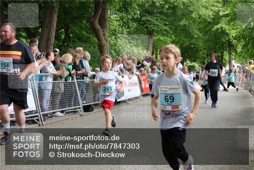 17.05.2025 - Störlauf Strokosch-Dieckow http://msf.ph/oto/7847303 17.05.2025 13:46:01 Ziel 156, 1889, 1196, 265, 187, 2025, 69, 275 meine-sportfotos.de