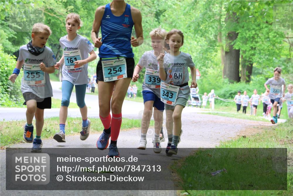 17.05.2025 - Störlauf Strokosch-Dieckow http://msf.ph/oto/7847313 17.05.2025 13:41:18 Laufen 2025, 255, 161, 254, 339, 343 meine-sportfotos.de