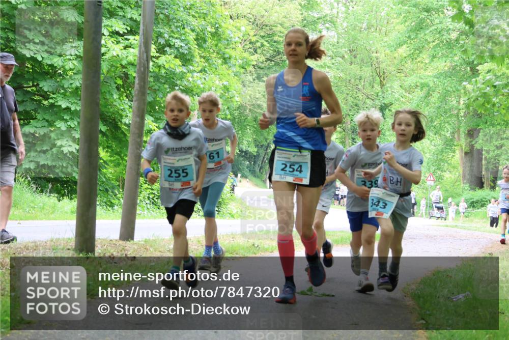 17.05.2025 - Störlauf Strokosch-Dieckow http://msf.ph/oto/7847320 17.05.2025 13:41:19 Laufen 255, 61, 254, 239, 343 meine-sportfotos.de