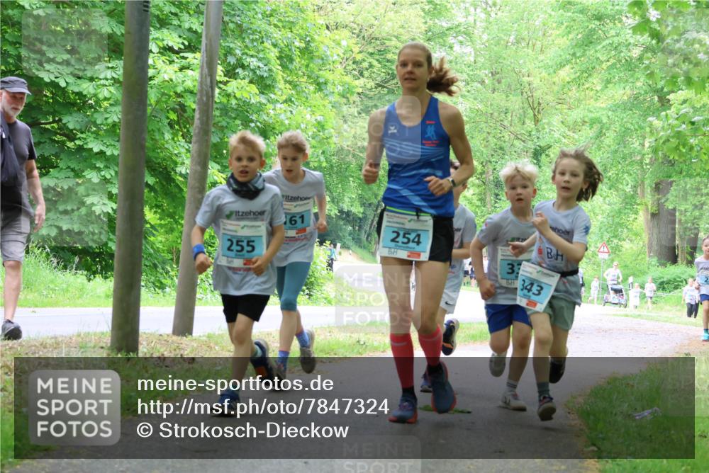 17.05.2025 - Störlauf Strokosch-Dieckow http://msf.ph/oto/7847324 17.05.2025 13:41:19 Laufen 161, 255, 254, 33, 343 meine-sportfotos.de
