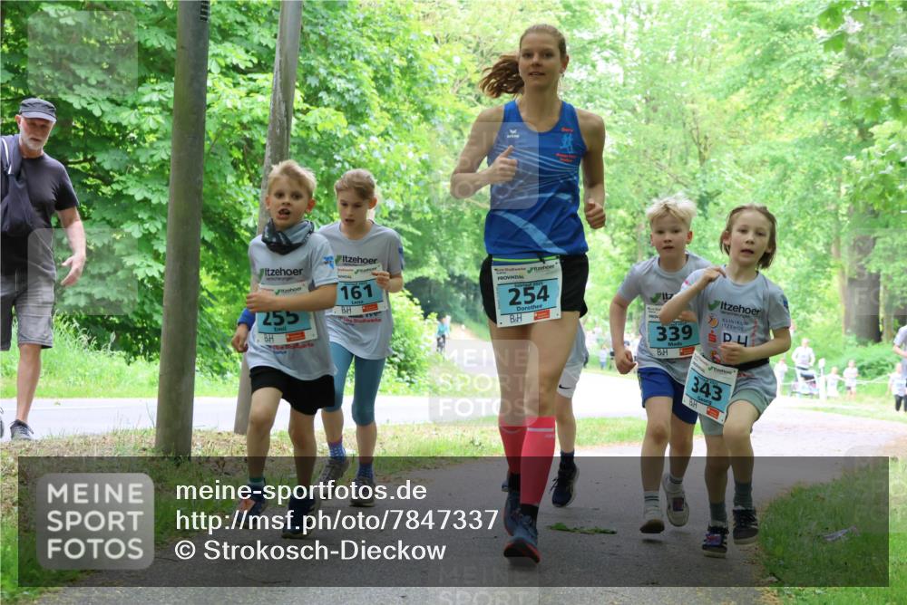 17.05.2025 - Störlauf Strokosch-Dieckow http://msf.ph/oto/7847337 17.05.2025 13:41:19 Laufen 255, 161, 254, 339, 343 meine-sportfotos.de