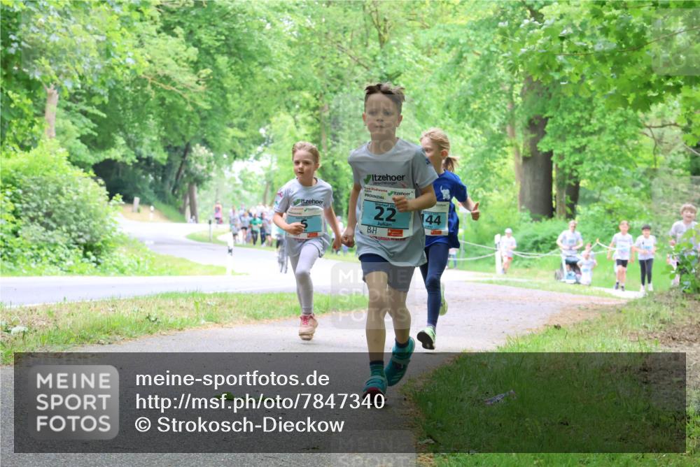 17.05.2025 - Störlauf Strokosch-Dieckow http://msf.ph/oto/7847340 17.05.2025 13:41:25 Laufen 22, 44 meine-sportfotos.de