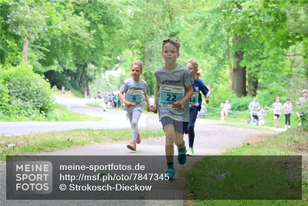 17.05.2025 - Störlauf Strokosch-Dieckow http://msf.ph/oto/7847345 17.05.2025 13:41:25 Laufen 6, 2025, 22, 44 meine-sportfotos.de