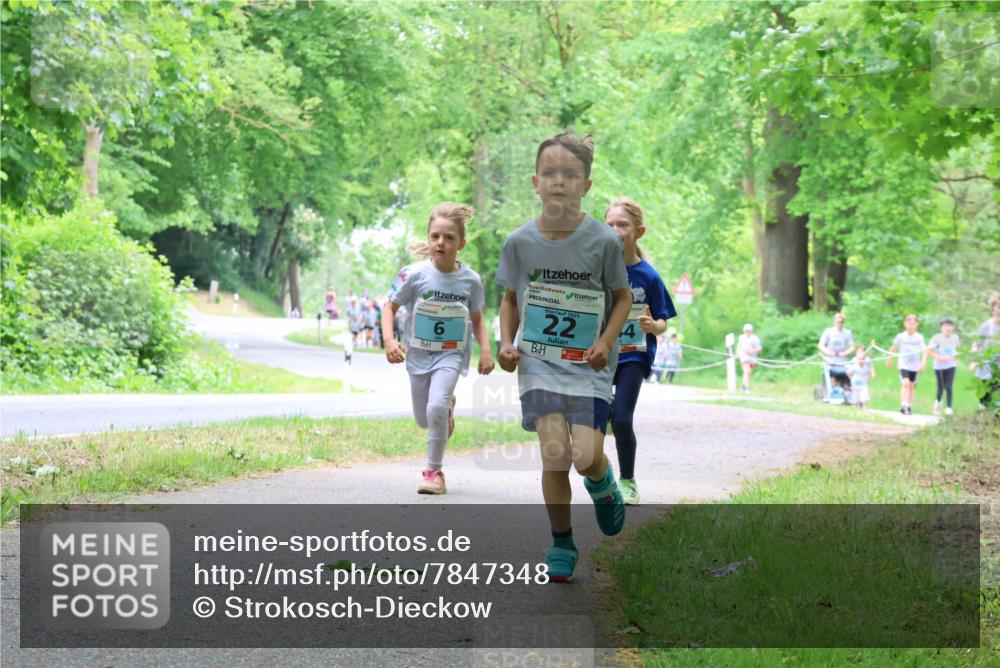17.05.2025 - Störlauf Strokosch-Dieckow http://msf.ph/oto/7847348 17.05.2025 13:41:25 Laufen 2025, 22 meine-sportfotos.de