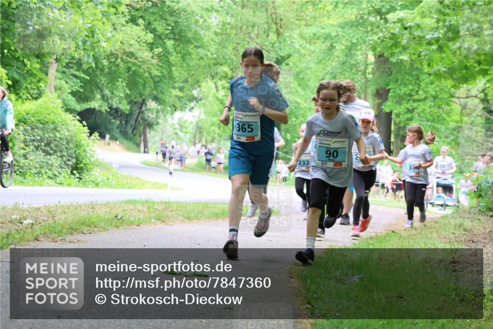 17.05.2025 - Störlauf Strokosch-Dieckow http://msf.ph/oto/7847360 17.05.2025 13:41:33 Laufen 365, 232, 90 meine-sportfotos.de