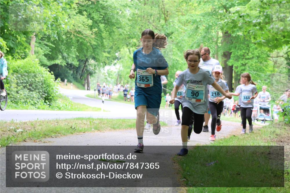 17.05.2025 - Störlauf Strokosch-Dieckow http://msf.ph/oto/7847365 17.05.2025 13:41:33 Laufen 365, 32, 2025, 90, 218, 344 meine-sportfotos.de