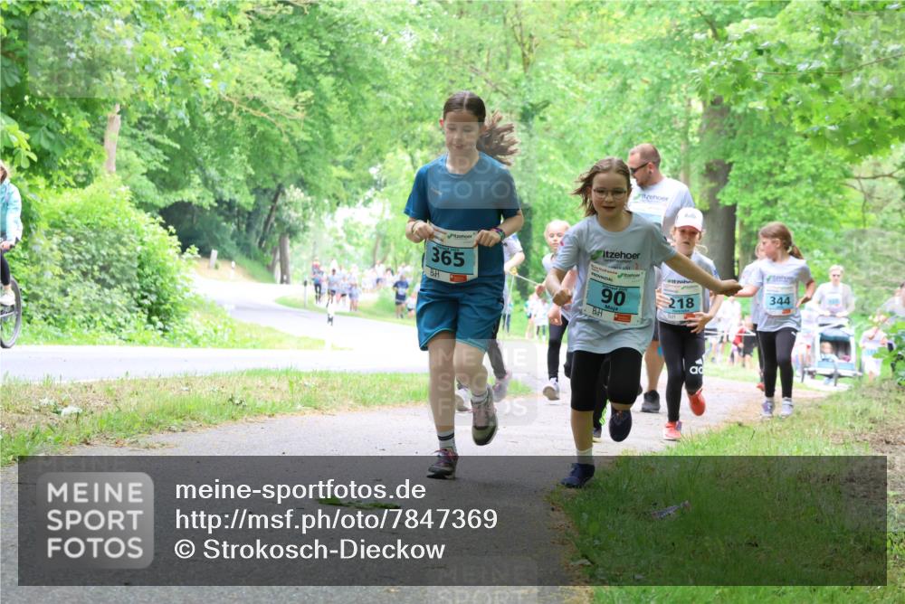 17.05.2025 - Störlauf Strokosch-Dieckow http://msf.ph/oto/7847369 17.05.2025 13:41:33 Laufen 365, 90, 344, 218 meine-sportfotos.de
