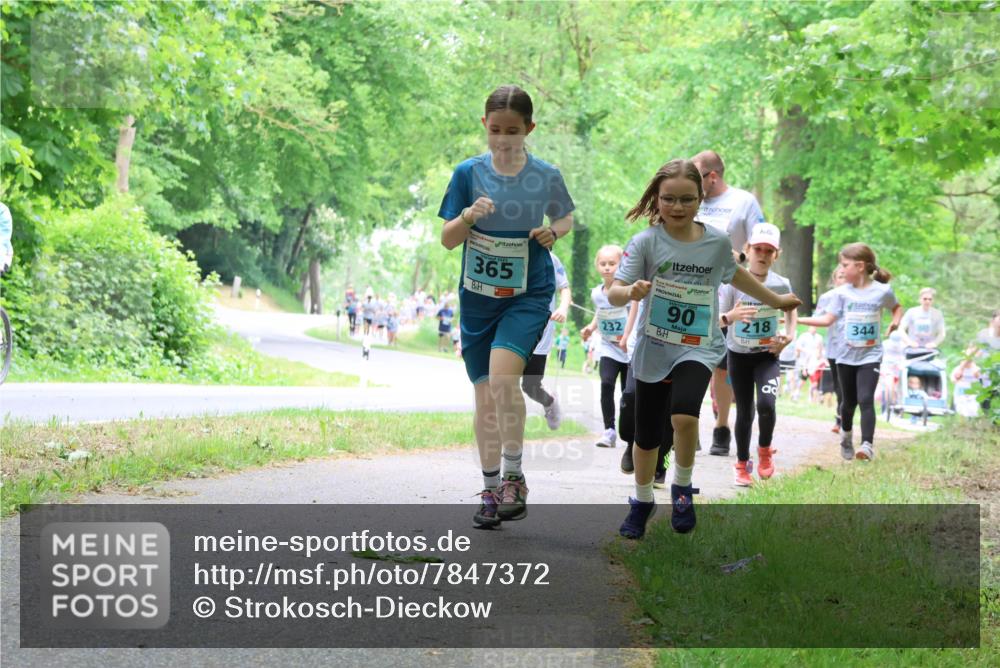 17.05.2025 - Störlauf Strokosch-Dieckow http://msf.ph/oto/7847372 17.05.2025 13:41:33 Laufen 365, 232, 2025, 90, 218, 344 meine-sportfotos.de