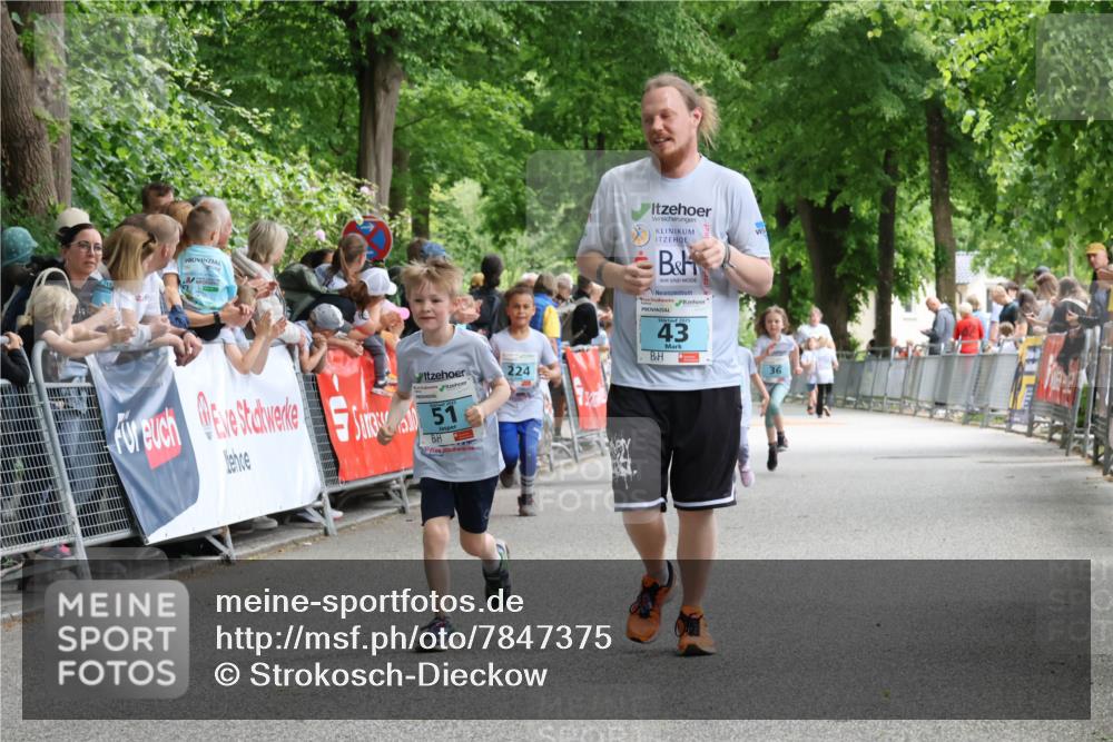 17.05.2025 - Störlauf Strokosch-Dieckow http://msf.ph/oto/7847375 17.05.2025 13:46:49 Ziel 51, 224, 43, 36 meine-sportfotos.de