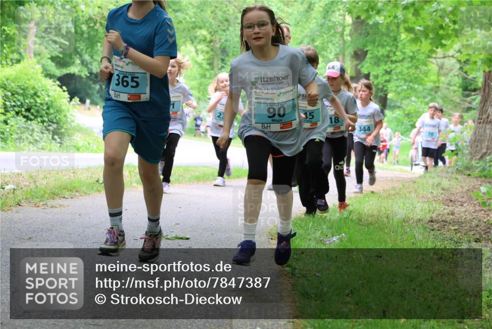 17.05.2025 - Störlauf Strokosch-Dieckow http://msf.ph/oto/7847387 17.05.2025 13:41:34 Laufen 365, 2025, 90, 15, 18, 90, 344 meine-sportfotos.de