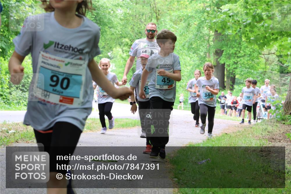 17.05.2025 - Störlauf Strokosch-Dieckow http://msf.ph/oto/7847391 17.05.2025 13:41:35 Laufen 90, 45, 344, 70 meine-sportfotos.de