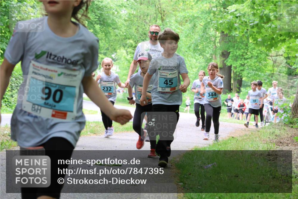 17.05.2025 - Störlauf Strokosch-Dieckow http://msf.ph/oto/7847395 17.05.2025 13:41:35 Laufen 90, 232, 45, 344, 70 meine-sportfotos.de