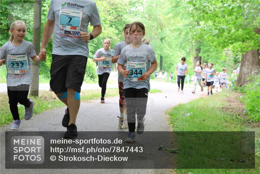 17.05.2025 - Störlauf Strokosch-Dieckow http://msf.ph/oto/7847443 17.05.2025 13:41:39 Laufen 2025, 232, 2025, 7, 336, 344 meine-sportfotos.de