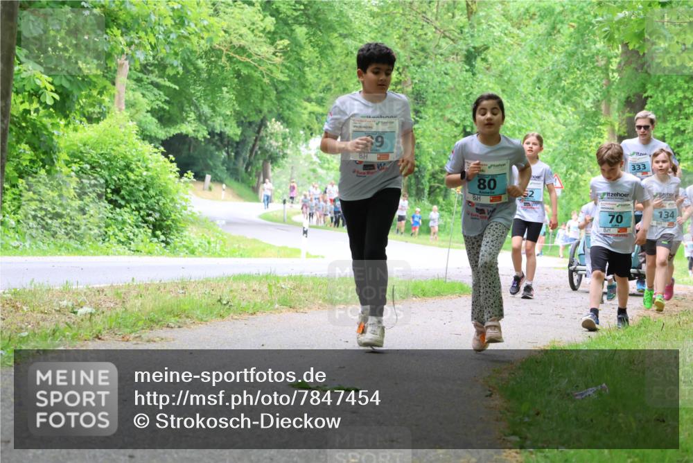 17.05.2025 - Störlauf Strokosch-Dieckow http://msf.ph/oto/7847454 17.05.2025 13:41:43 Laufen 9, 333, 80, 52, 134, 70 meine-sportfotos.de