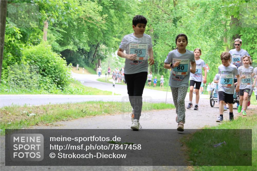 17.05.2025 - Störlauf Strokosch-Dieckow http://msf.ph/oto/7847458 17.05.2025 13:41:43 Laufen 99, 80, 70, 333, 134 meine-sportfotos.de