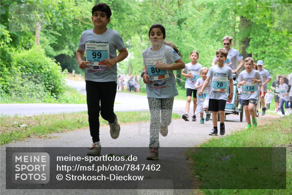 17.05.2025 - Störlauf Strokosch-Dieckow http://msf.ph/oto/7847462 17.05.2025 13:41:44 Laufen 2025, 99, 80, 11, 70, 134 meine-sportfotos.de