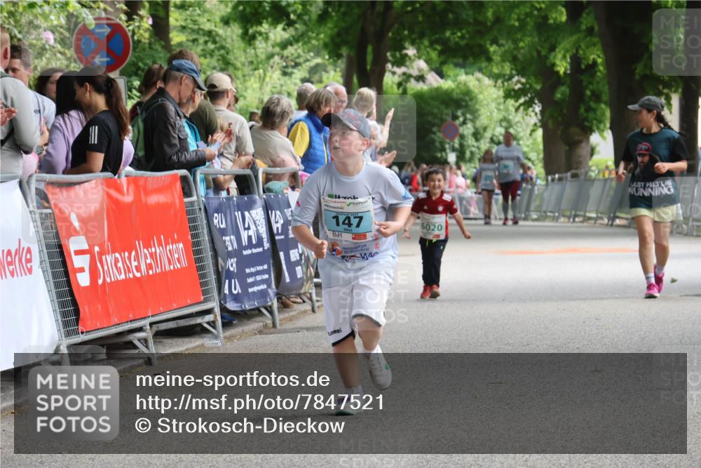 17.05.2025 - Störlauf Strokosch-Dieckow http://msf.ph/oto/7847521 17.05.2025 13:49:42 Ziel 40, 147, 7744, 25, 6020 meine-sportfotos.de