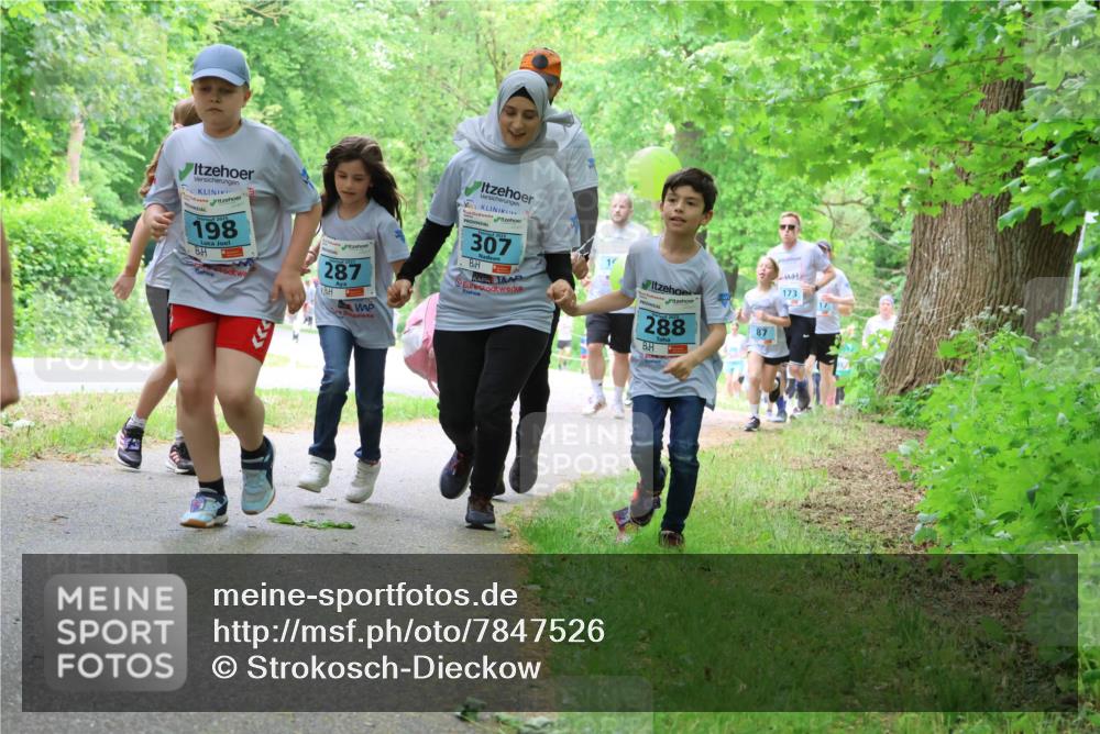 17.05.2025 - Störlauf Strokosch-Dieckow http://msf.ph/oto/7847526 17.05.2025 13:41:51 Laufen 198, 287, 307, 19, 288, 173 meine-sportfotos.de