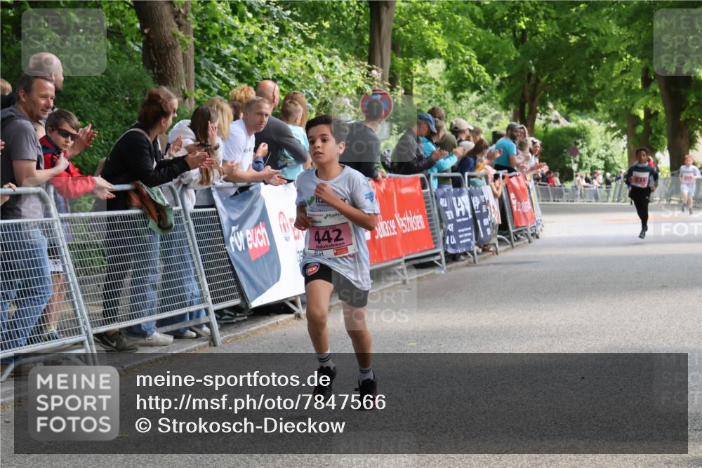 17.05.2025 - Störlauf Strokosch-Dieckow http://msf.ph/oto/7847566 17.05.2025 13:54:13 Ziel 442 meine-sportfotos.de