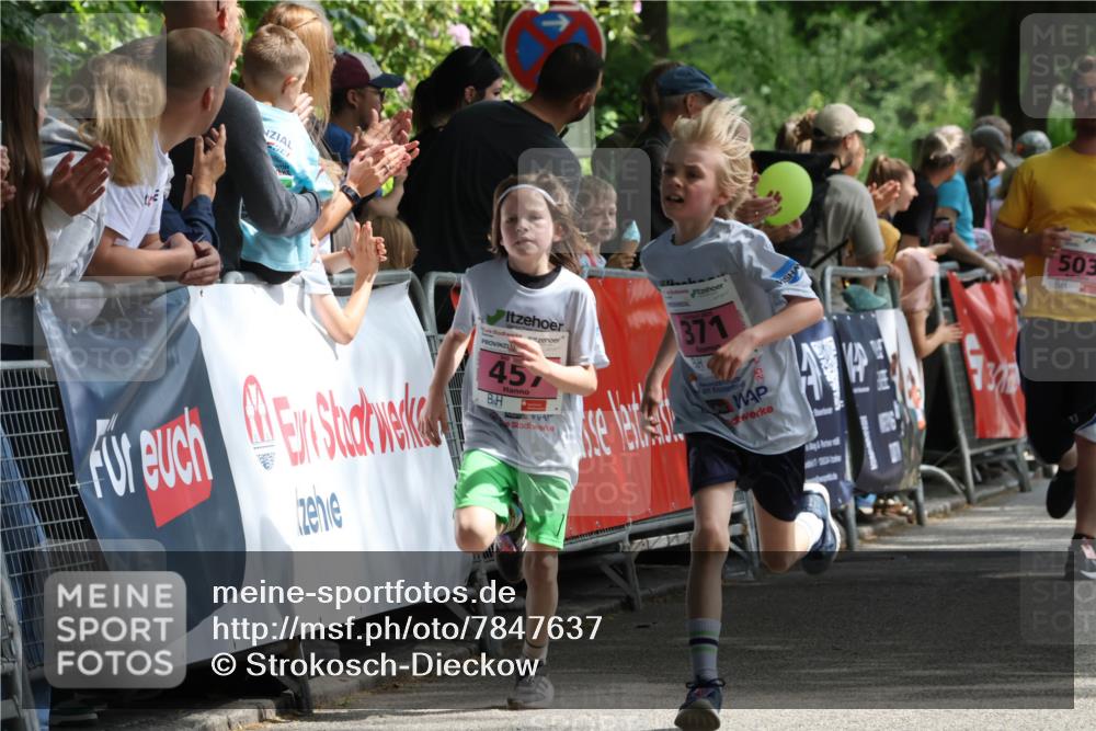 17.05.2025 - Störlauf Strokosch-Dieckow http://msf.ph/oto/7847637 17.05.2025 13:55:05 Ziel 371, 457, 503 meine-sportfotos.de