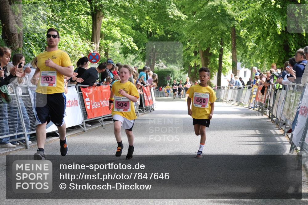 17.05.2025 - Störlauf Strokosch-Dieckow http://msf.ph/oto/7847646 17.05.2025 13:55:09 Ziel 503, 504, 468 meine-sportfotos.de