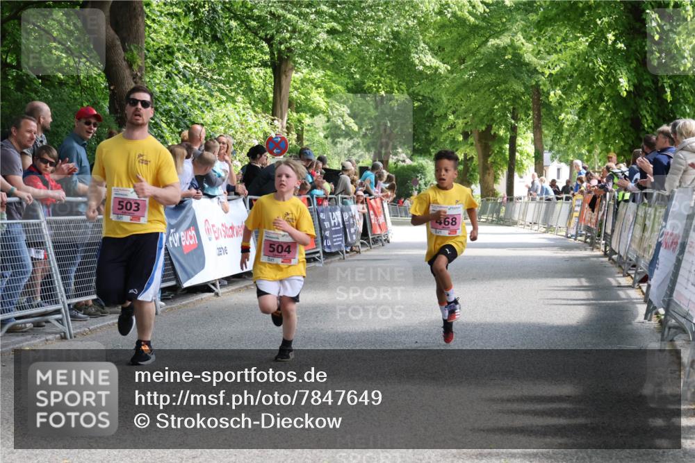 17.05.2025 - Störlauf Strokosch-Dieckow http://msf.ph/oto/7847649 17.05.2025 13:55:09 Ziel 503, 504, 468 meine-sportfotos.de