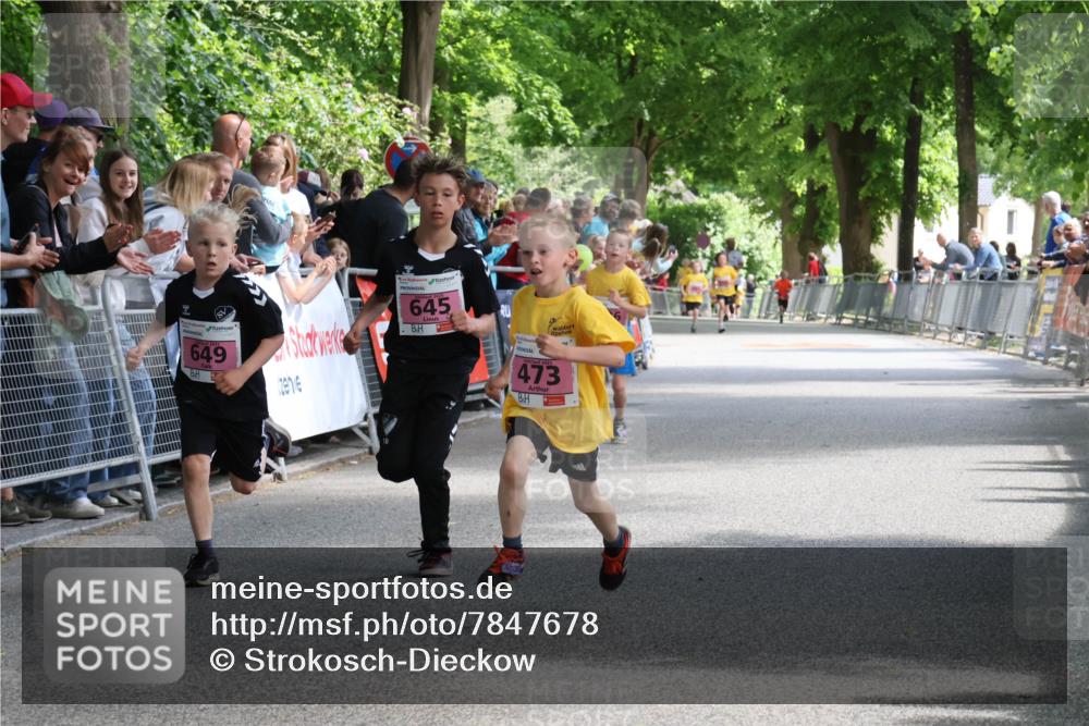 17.05.2025 - Störlauf Strokosch-Dieckow http://msf.ph/oto/7847678 17.05.2025 13:55:27 Ziel 649, 645, 2015, 473 meine-sportfotos.de