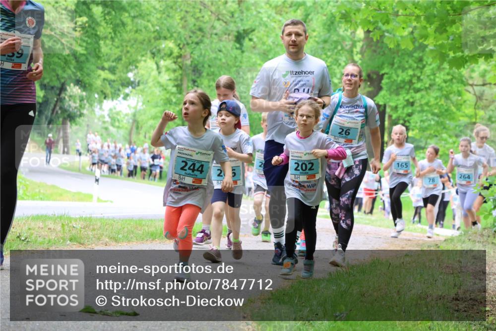 17.05.2025 - Störlauf Strokosch-Dieckow http://msf.ph/oto/7847712 17.05.2025 13:42:28 Laufen 39, 2025, 244, 25, 202, 26, 165, 78, 264 meine-sportfotos.de