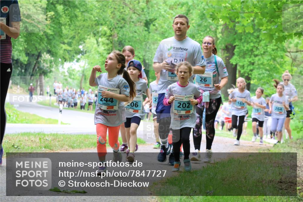 17.05.2025 - Störlauf Strokosch-Dieckow http://msf.ph/oto/7847727 17.05.2025 13:42:28 Laufen 244, 206, 26, 21, 202, 165, 264 meine-sportfotos.de