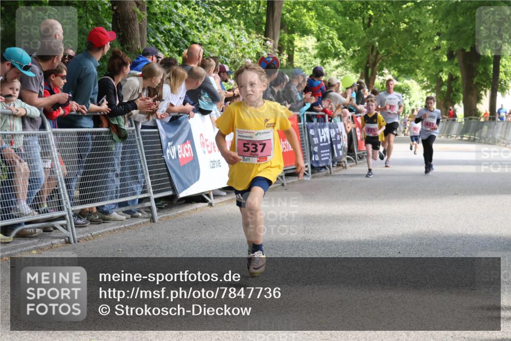 17.05.2025 - Störlauf Strokosch-Dieckow http://msf.ph/oto/7847736 17.05.2025 13:55:55 Ziel 537, 435, 443 meine-sportfotos.de