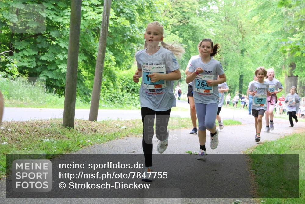 17.05.2025 - Störlauf Strokosch-Dieckow http://msf.ph/oto/7847755 17.05.2025 13:42:36 Laufen 1, 264, 57, 50 meine-sportfotos.de
