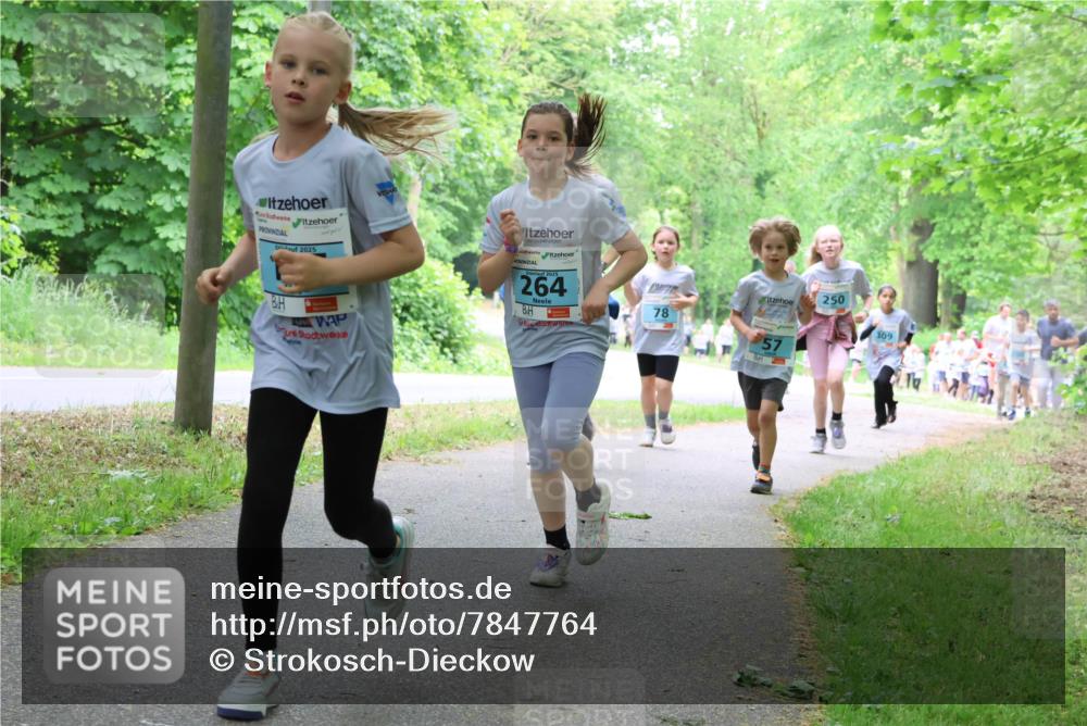 17.05.2025 - Störlauf Strokosch-Dieckow http://msf.ph/oto/7847764 17.05.2025 13:42:37 Laufen 2025, 2025, 264, 78, 57, 250, 309 meine-sportfotos.de