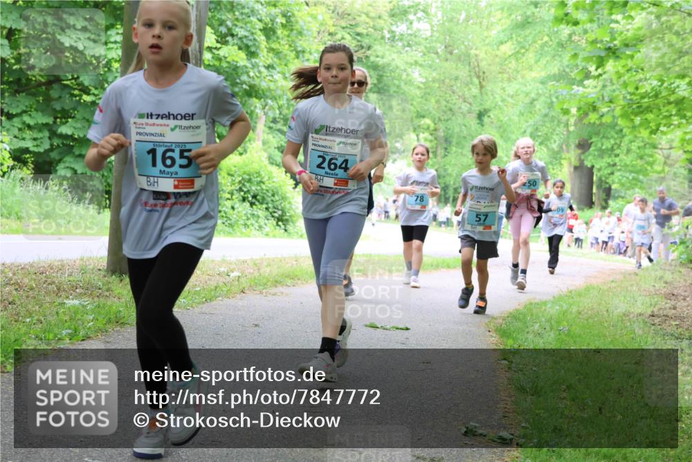 17.05.2025 - Störlauf Strokosch-Dieckow http://msf.ph/oto/7847772 17.05.2025 13:42:37 Laufen 2025, 165, 264, 50, 78, 57, 09 meine-sportfotos.de