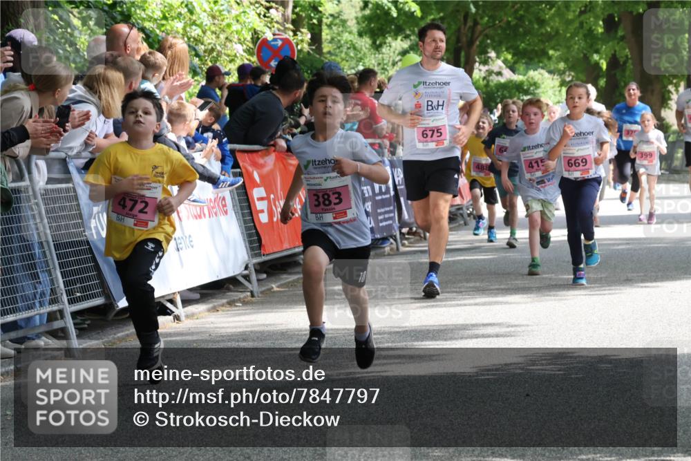17.05.2025 - Störlauf Strokosch-Dieckow http://msf.ph/oto/7847797 17.05.2025 13:56:41 Ziel 2025, 472, 383, 675, 488, 415, 669, 37, 399 meine-sportfotos.de