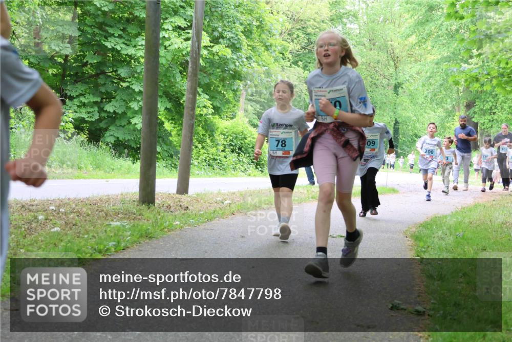 17.05.2025 - Störlauf Strokosch-Dieckow http://msf.ph/oto/7847798 17.05.2025 13:42:40 Laufen 78, 09, 200, 108, 326 meine-sportfotos.de