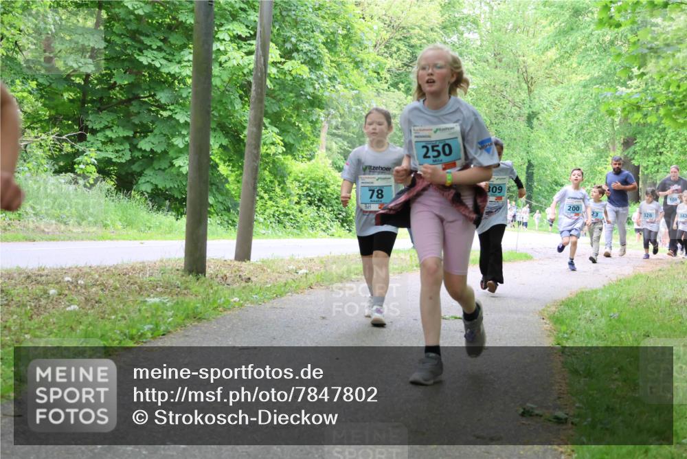 17.05.2025 - Störlauf Strokosch-Dieckow http://msf.ph/oto/7847802 17.05.2025 13:42:40 Laufen 78, 250, 309, 200, 326, 108, 342 meine-sportfotos.de