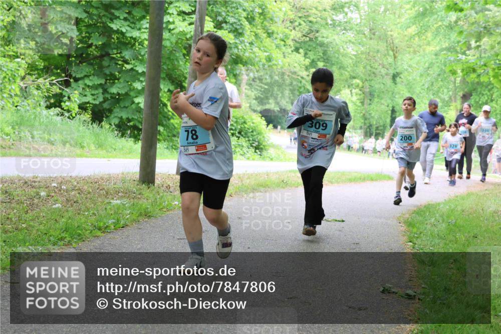 17.05.2025 - Störlauf Strokosch-Dieckow http://msf.ph/oto/7847806 17.05.2025 13:42:42 Laufen 78, 309, 200, 326, 346, 108 meine-sportfotos.de