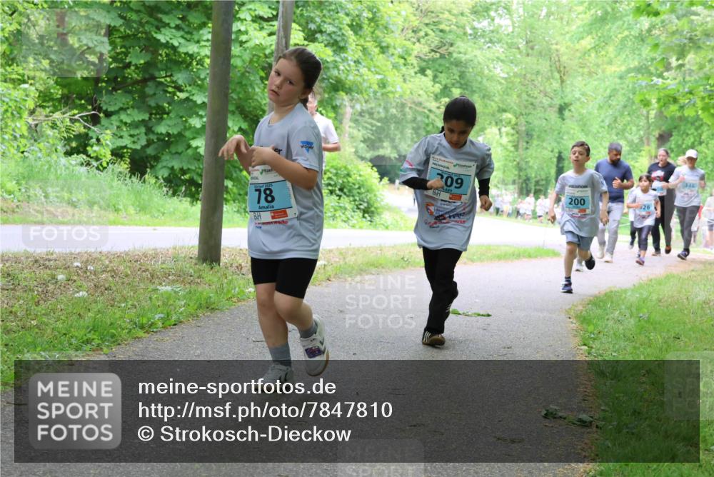 17.05.2025 - Störlauf Strokosch-Dieckow http://msf.ph/oto/7847810 17.05.2025 13:42:42 Laufen 78, 09, 200, 26, 346 meine-sportfotos.de
