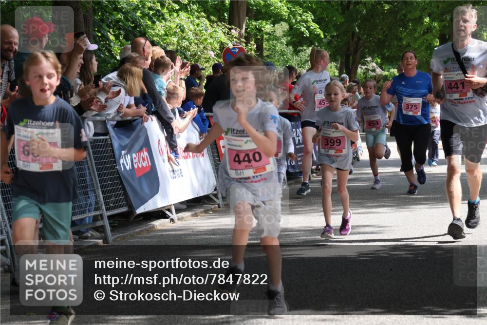 17.05.2025 - Störlauf Strokosch-Dieckow http://msf.ph/oto/7847822 17.05.2025 13:56:47 Ziel 63, 455, 440, 399, 441, 375, 454 meine-sportfotos.de