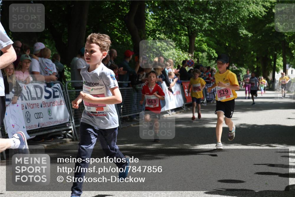 17.05.2025 - Störlauf Strokosch-Dieckow http://msf.ph/oto/7847856 17.05.2025 13:56:54 Ziel 2025, 529, 663 meine-sportfotos.de