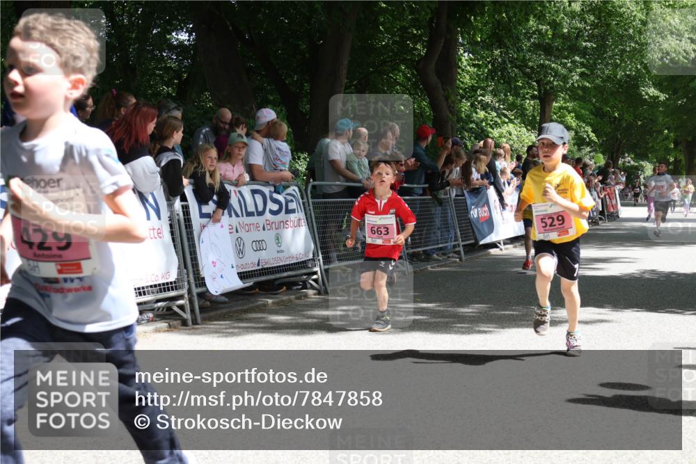 17.05.2025 - Störlauf Strokosch-Dieckow http://msf.ph/oto/7847858 17.05.2025 13:56:55 Ziel 429, 663, 529 meine-sportfotos.de