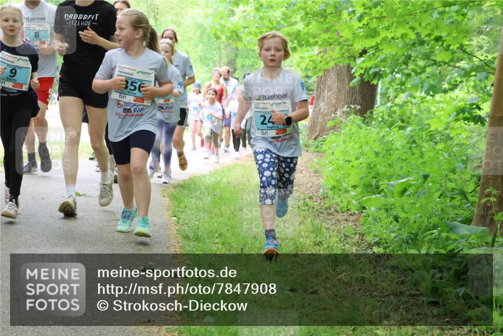 17.05.2025 - Störlauf Strokosch-Dieckow http://msf.ph/oto/7847908 17.05.2025 13:42:55 Laufen 8, 2025, 3, 356, 24 meine-sportfotos.de