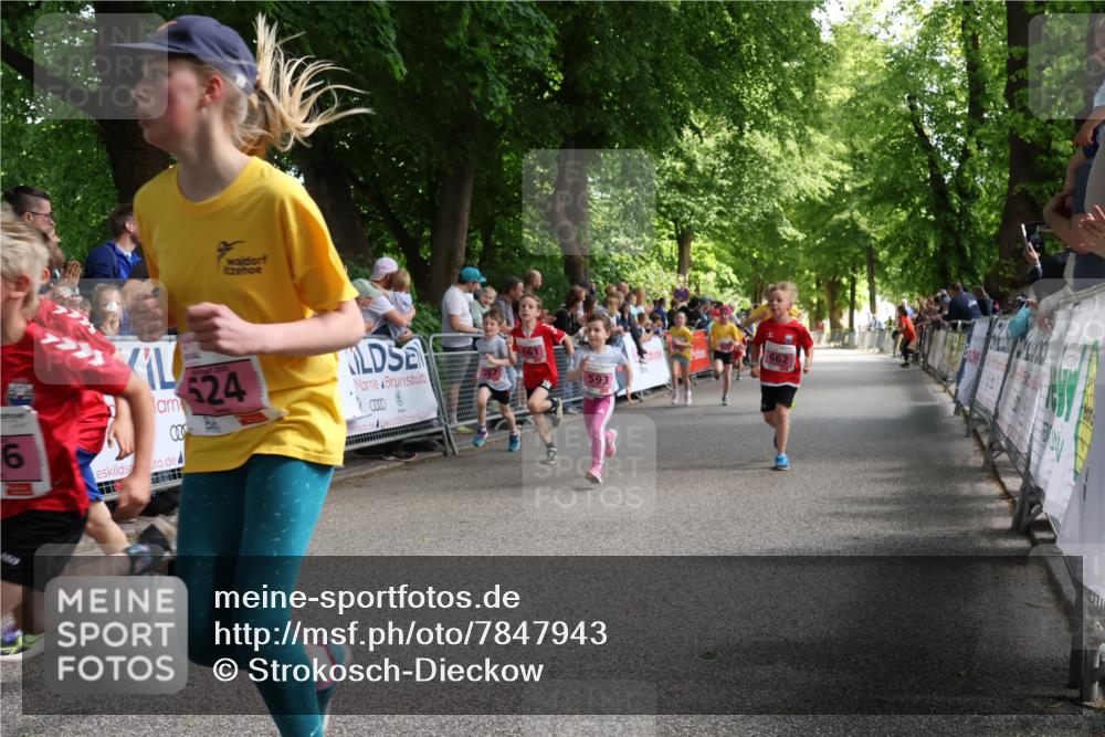 17.05.2025 - Störlauf Strokosch-Dieckow http://msf.ph/oto/7847943 17.05.2025 13:57:27 Ziel 524, 661, 593, 662, 6 meine-sportfotos.de